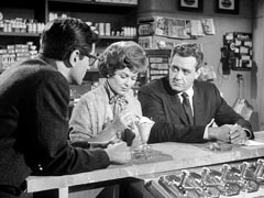 Perry Mason TV Series Wiki